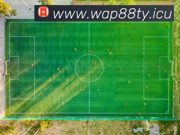 九游体育app官方版正式版下载 - IOS/Android通用版/手机APP下载APP 封面图